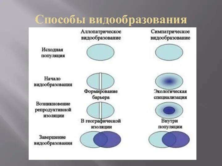 Способы видообразования