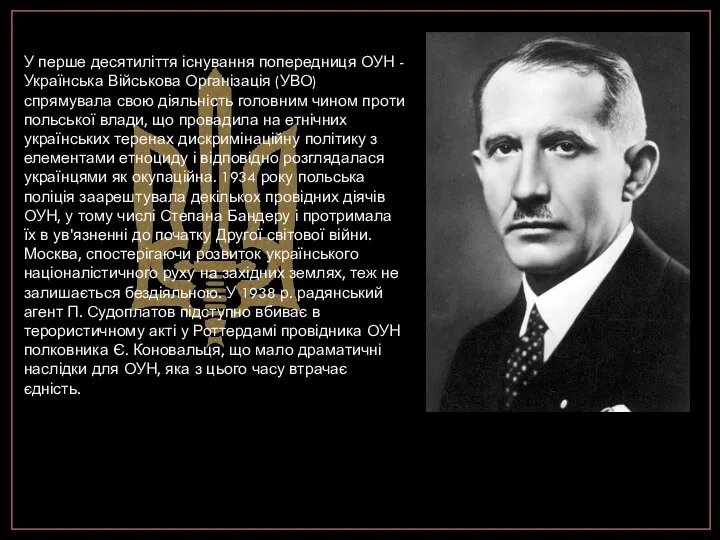 У перше десятиліття існування попередниця ОУН - Українська Військова Організація