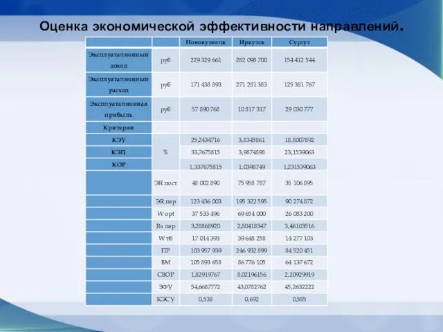 Оценка экономической эффективности направлений.