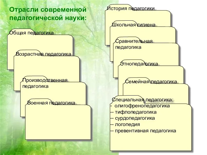 Отрасли современной педагогической науки: Общая педагогика Возрастная педагогика Производственная педагогика Военная педагогика История