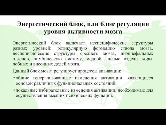 Энергетический блок, или блок регуляции уровня активности мозга Энергетический блок