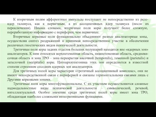 К вторичным полям афферентные импульсы поступают не непосредственно из реле-ядер