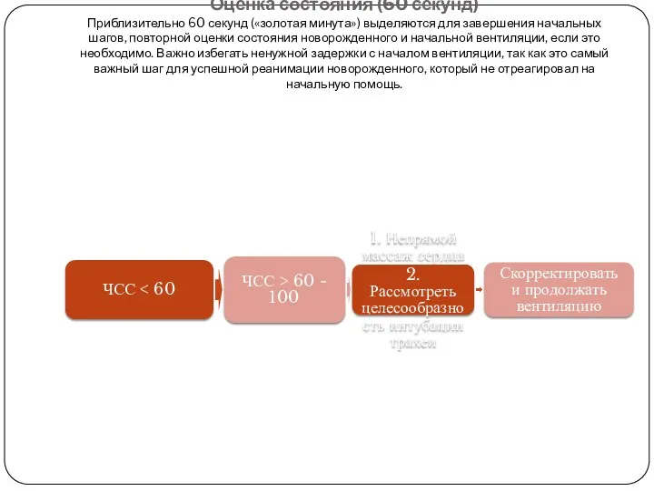 Оценка состояния (60 секунд) Приблизительно 60 секунд («золотая минута») выделяются для завершения начальных