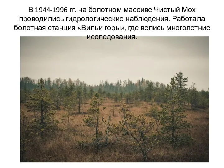 В 1944-1996 гг. на болотном массиве Чистый Мох проводились гидрологические