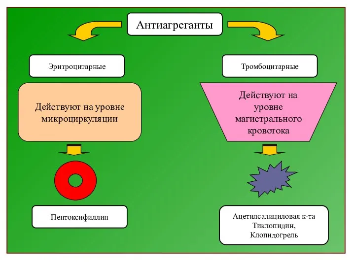 Действуют на уровне микроциркуляции Действуют на уровне магистрального кровотока Эритроцитарные