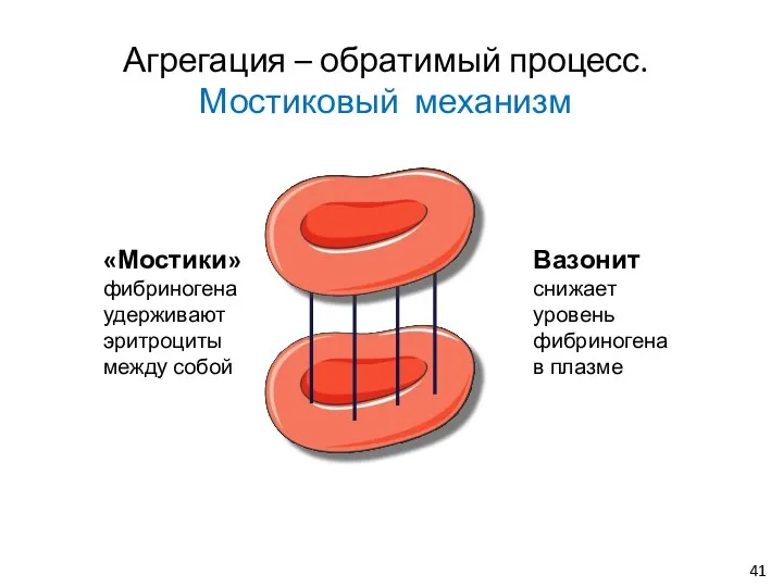 «Мостики» фибриногена удерживают эритроциты между собой Вазонит снижает уровень фибриногена