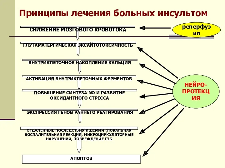 Принципы лечения больных инсультом СНИЖЕНИЕ МОЗГОВОГО КРОВОТОКА ГЛУТАМАТЕРГИЧЕСКАЯ ЭКСАЙТОТОКСИЧНОСТЬ ВНУТРИКЛЕТОЧНОЕ