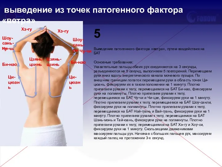 Выведение патогенного фактора «ветра», путем воздействия на БАТ Основные требования: