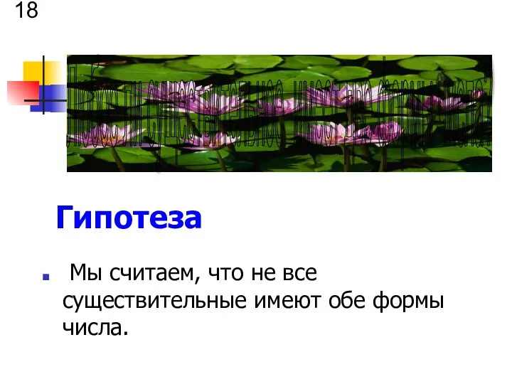 Гипотеза Мы считаем, что не все существительные имеют обе формы