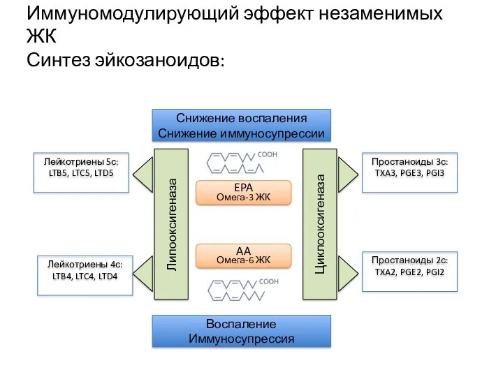 Иммуномодулирующий эффект незаменимых ЖК Синтез эйкозаноидов: