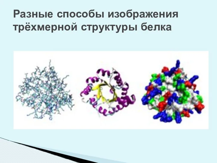 Разные способы изображения трёхмерной структуры белка