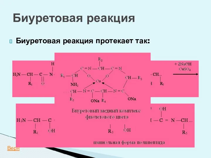 Биуретовая реакция Биуретовая реакция протекает так: +CuSO4 +NaOH Верн