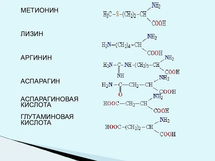 МЕТИОНИН ЛИЗИН АРГИНИН АСПАРАГИН АСПАРАГИНОВАЯ КИСЛОТА ГЛУТАМИНОВАЯ КИСЛОТА