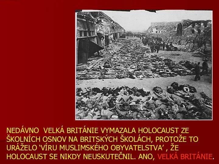 NEDÁVNO VELKÁ BRITÁNIE VYMAZALA HOLOCAUST ZE ŠKOLNÍCH OSNOV NA BRITSKÝCH