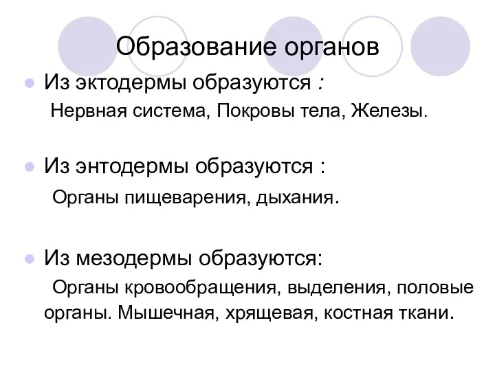 Образование органов Из эктодермы образуются : Нервная система, Покровы тела,