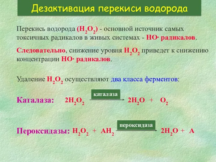 Дезактивация перекиси водорода Перекись водорода (Н2О2) - основной источник самых