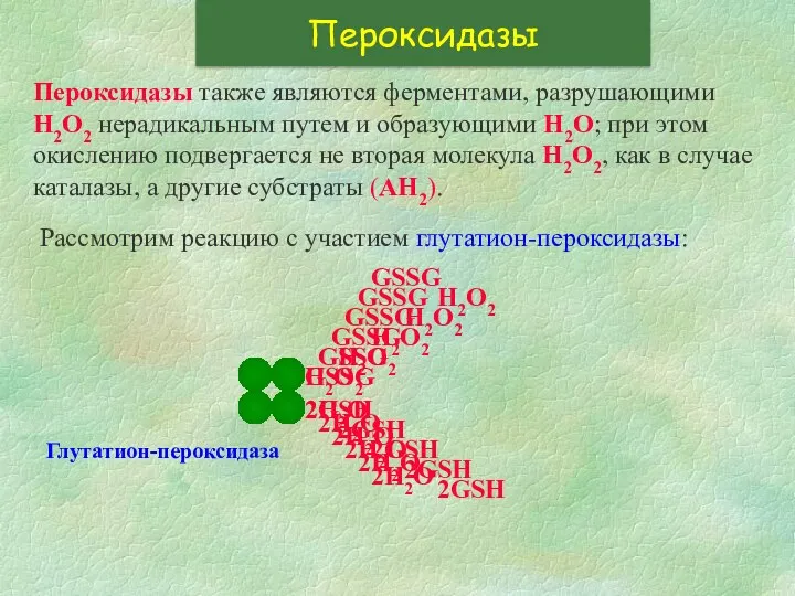 Пероксидазы Пероксидазы также являются ферментами, разрушающими Н2О2 нерадикальным путем и