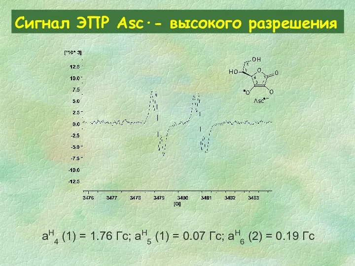 Сигнал ЭПР Asc∙- высокого разрешения aH4 (1) = 1.76 Гс;