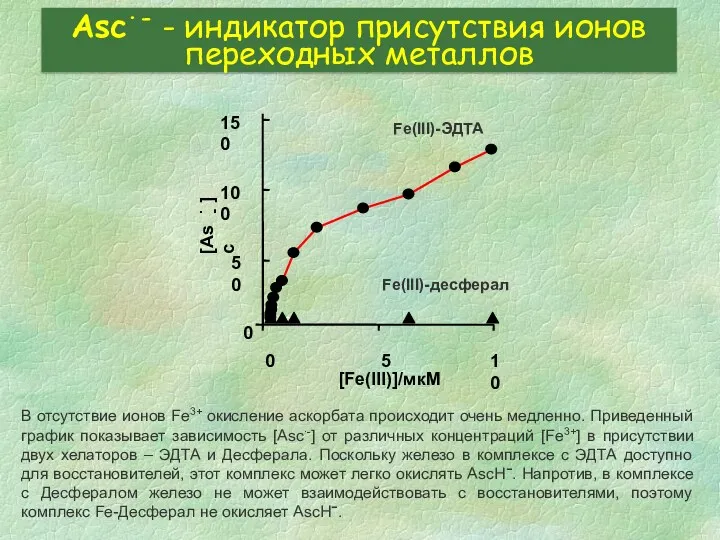 Asc∙- - индикатор присутствия ионов переходных металлов В отсутствие ионов