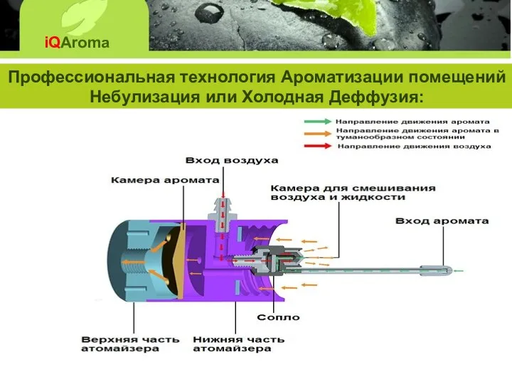 iQAroma Профессиональная технология Ароматизации помещений Небулизация или Холодная Деффузия: