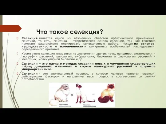 Что такое селекция? Селекция является одной из важнейших областей практического