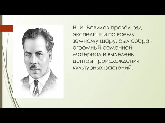 Н. И. Вавилов провёл ряд экспедиций по всему земному шару,