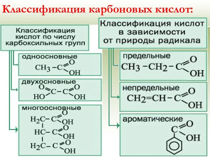 Классификация карбоновых кислот: