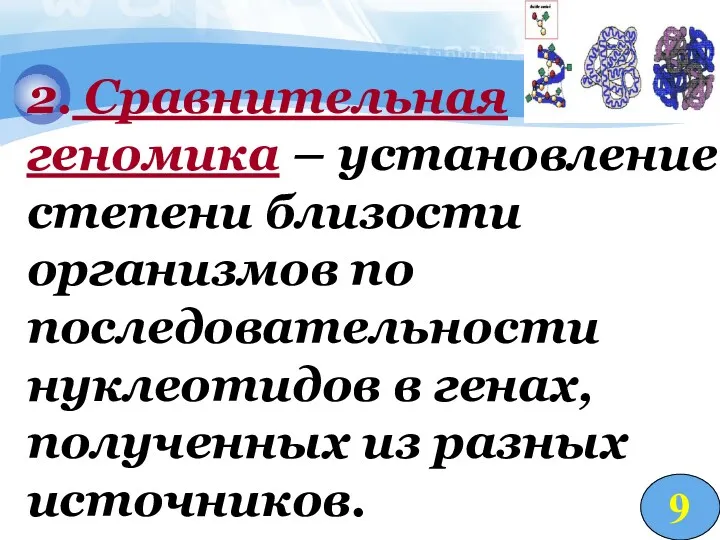 2. Сравнительная геномика – установление степени близости организмов по последовательности