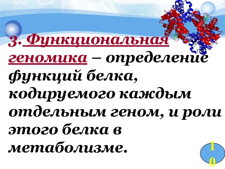 3. Функциональная геномика – определение функций белка, кодируемого каждым отдельным геном, и роли