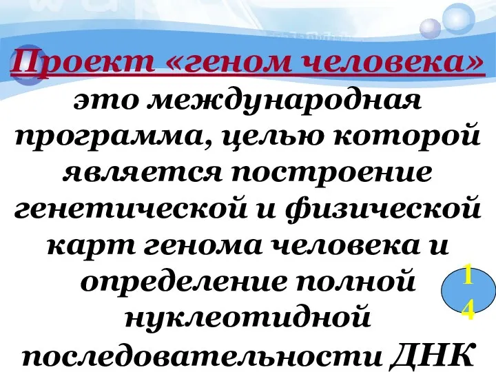 Проект «геном человека» это международная программа, целью которой является построение генетической и физической