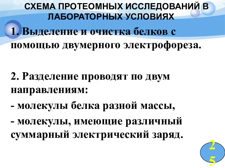 СХЕМА ПРОТЕОМНЫХ ИССЛЕДОВАНИЙ В ЛАБОРАТОРНЫХ УСЛОВИЯХ 1. Выделение и очистка белков с помощью