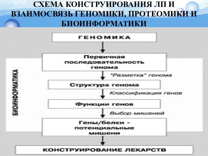 СХЕМА КОНСТРУИРОВАНИЯ ЛП И ВЗАИМОСВЯЗЬ ГЕНОМИКИ, ПРОТЕОМИКИ И БИОИНФОРМАТИКИ