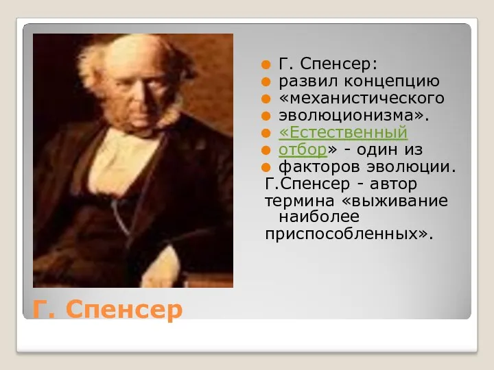 Г. Спенсер Г. Спенсер: развил концепцию «механистического эволюционизма». «Естественный отбор»