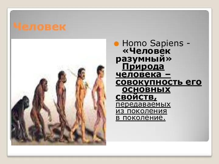 Человек Homo Sapiens - «Человек разумный» Природа человека – совокупность