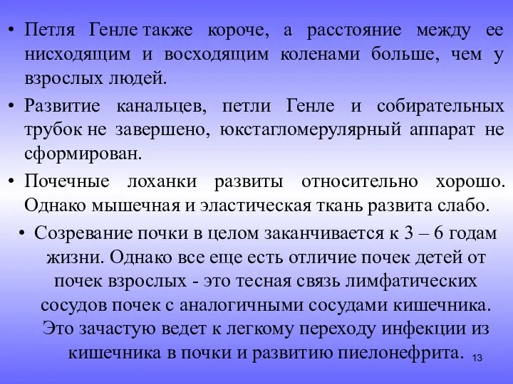 Петля Генле также короче, а расстояние между ее нисходящим и