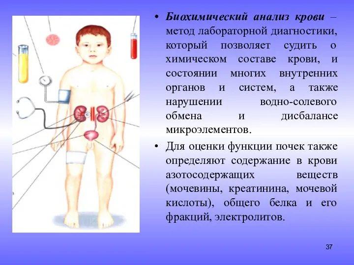 Биохимический анализ крови – метод лабораторной диагностики, который позволяет судить