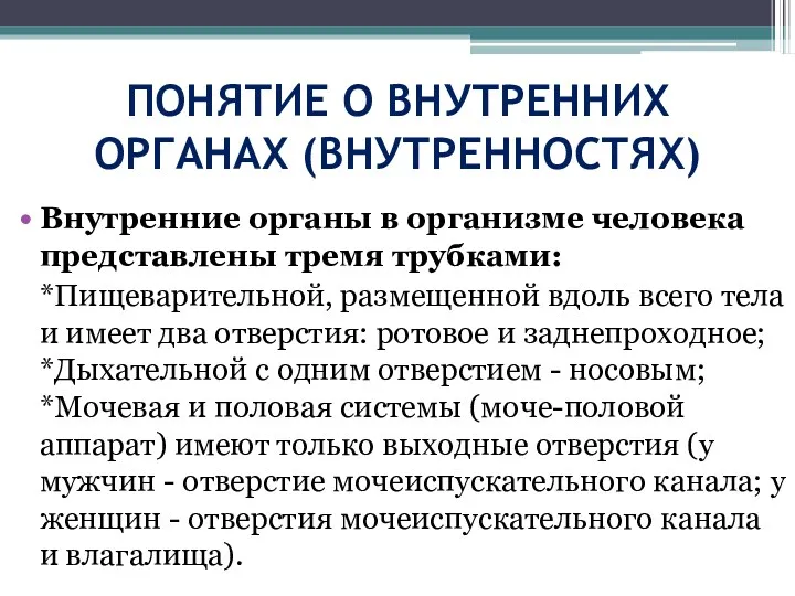 ПОНЯТИЕ О ВНУТРЕННИХ ОРГАНАХ (ВНУТРЕННОСТЯХ) Внутренние органы в организме человека