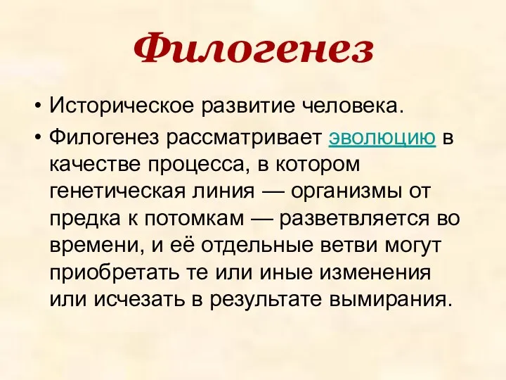 Филогенез Историческое развитие человека. Филогенез рассматривает эволюцию в качестве процесса,