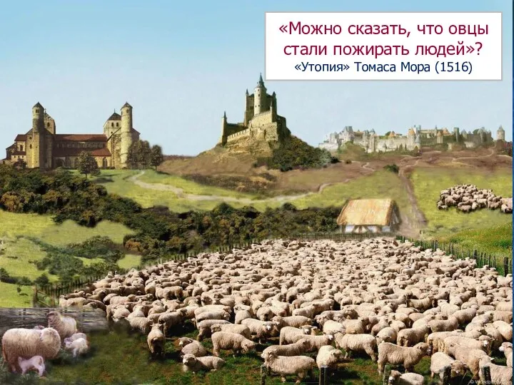 «Можно сказать, что овцы стали пожирать людей»? «Утопия» Томаса Мора (1516)