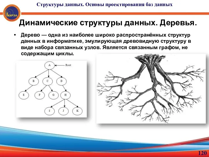 Динамические структуры данных. Деревья. Дерево — одна из наиболее широко