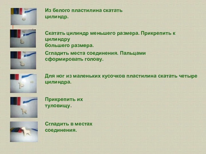 Из белого пластилина скатать цилиндр. Скатать цилиндр меньшего размера. Прикрепить к цилиндру большего