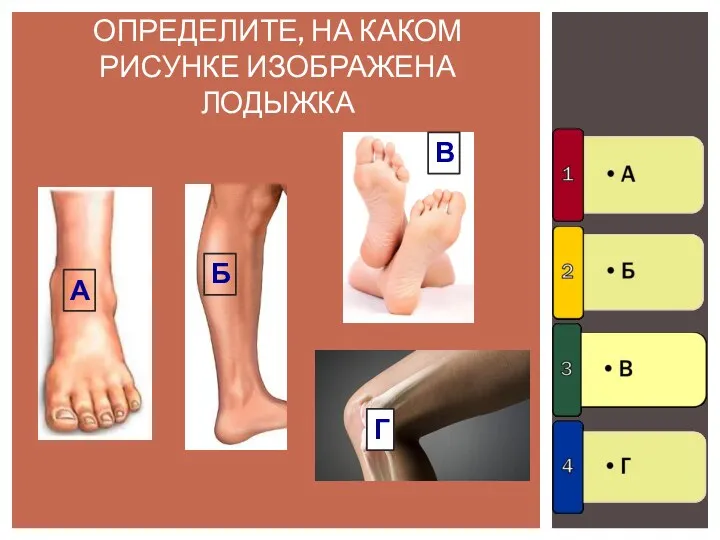 Б ОПРЕДЕЛИТЕ, НА КАКОМ РИСУНКЕ ИЗОБРАЖЕНА ЛОДЫЖКА Г В А