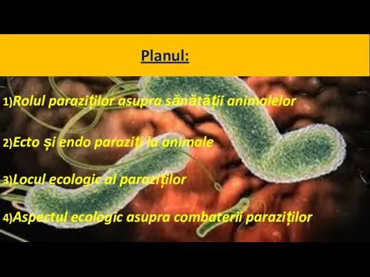 Planul: 1 1)Rolul paraziților asupra sănătății animalelor 2)Ecto și endo paraziți la animale