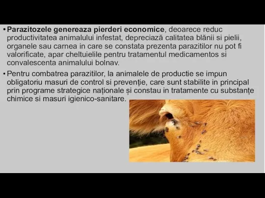 Parazitozele genereaza pierderi economice, deoarece reduc productivitatea animalului infestat, depreciază calitatea blănii si