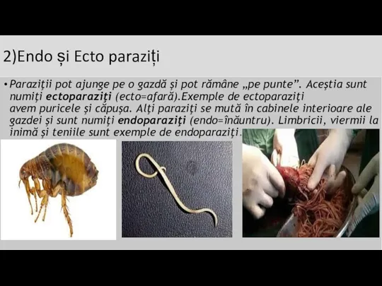 2)Endo și Ecto paraziți Paraziţii pot ajunge pe o gazdă