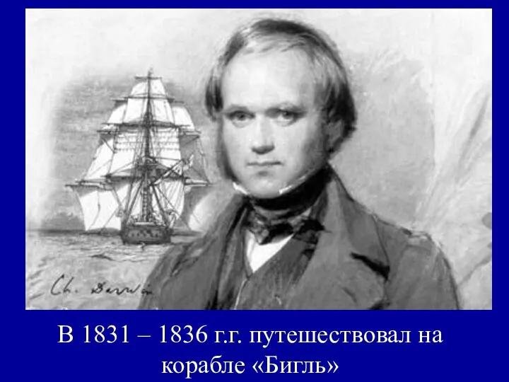 В 1831 – 1836 г.г. путешествовал на корабле «Бигль» В
