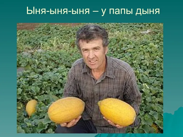 Ыня-ыня-ыня – у папы дыня