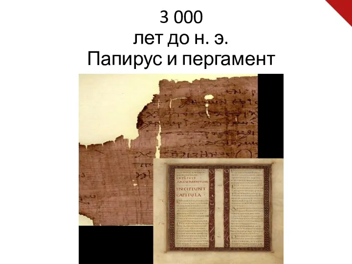 3 000 лет до н. э. Папирус и пергамент