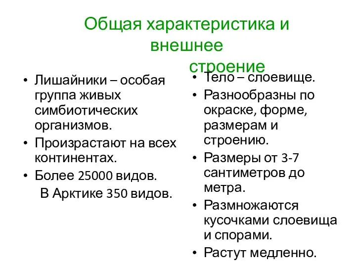 Общая характеристика и внешнее строение Лишайники – особая группа живых