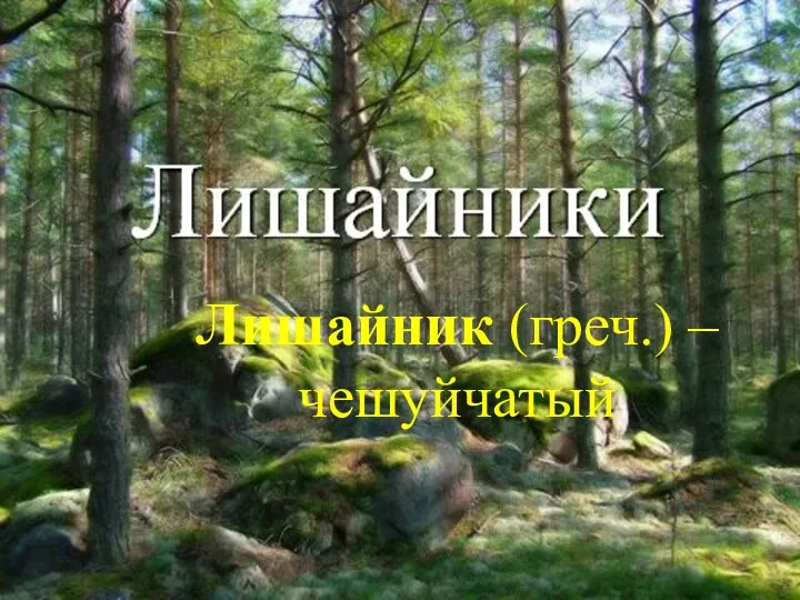 Лишайник (греч.) – чешуйчатый